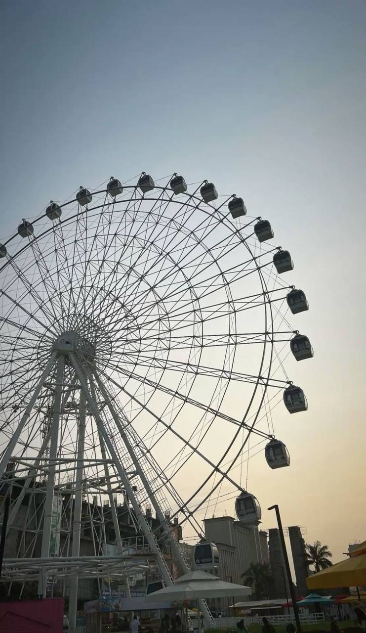Grande roue et vue panoramique